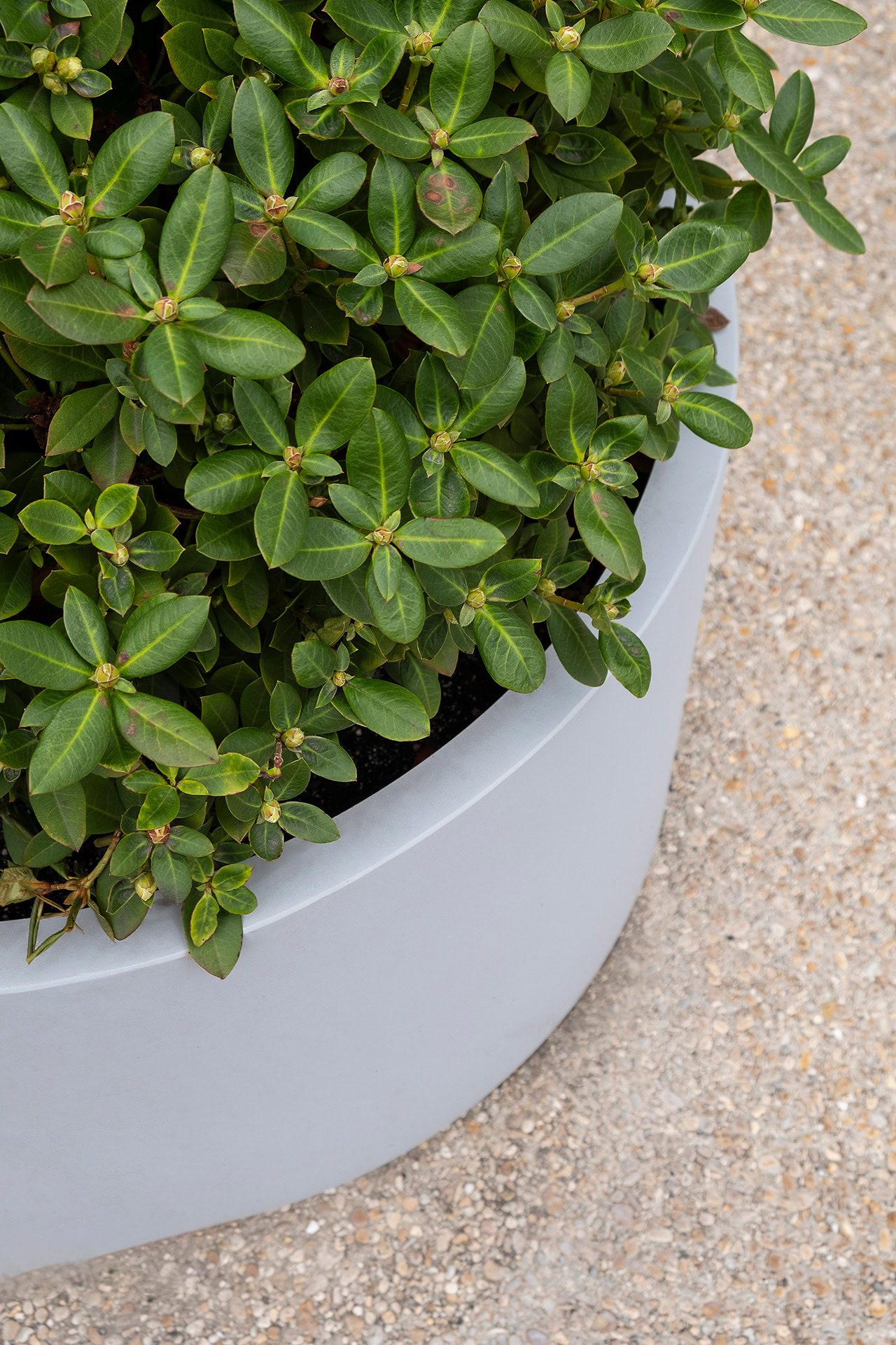 Steel planter with zinc primer and oven-baked paint